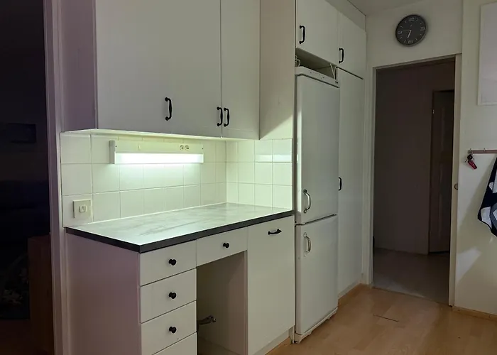 Arctic Rowhouse 罗瓦涅米